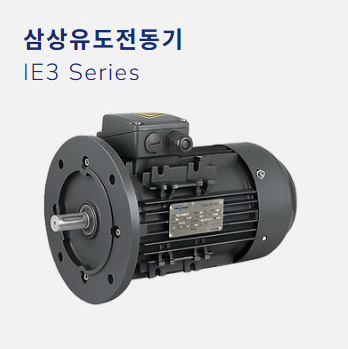 삼상유도전동기
